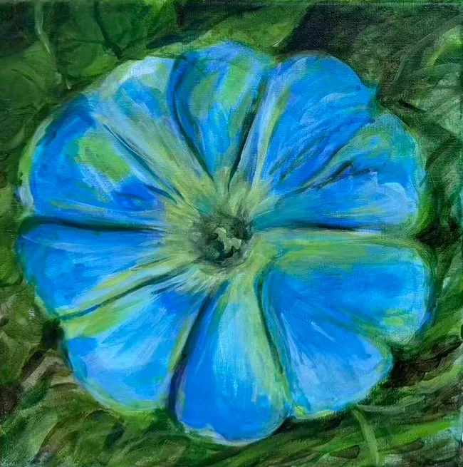 A blue pumpkin seen from directly above, its ribs fanning out from the stem, ringed by dark green leaves.